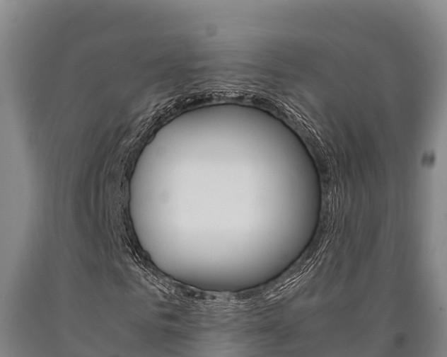 X0000090920961200707301050