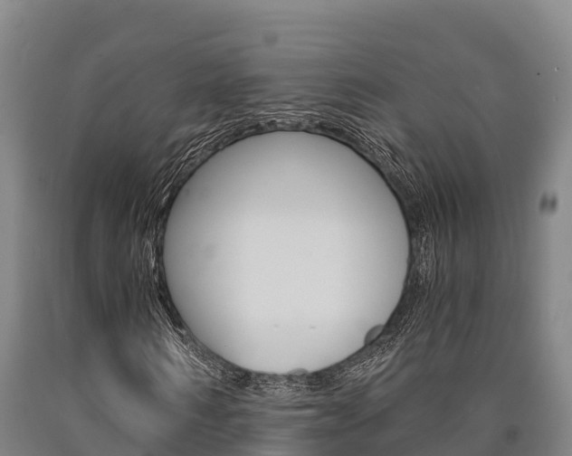 X0000090920962200707301050