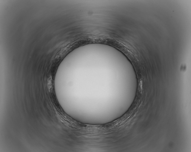 X0000090920963200707301050