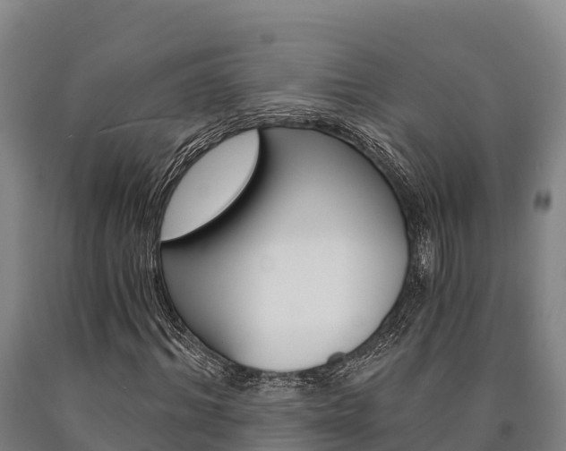 X0000090920964200707301050