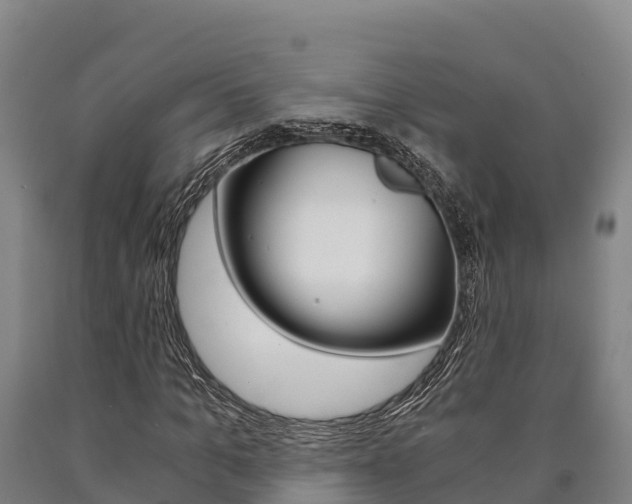 X0000090920965200707301050