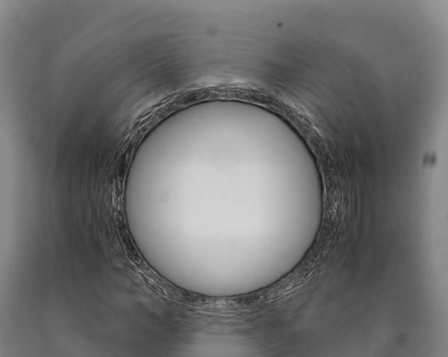 X0000090920966200707301050