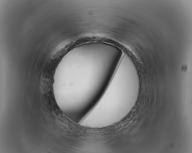 X0000090920967200707301050