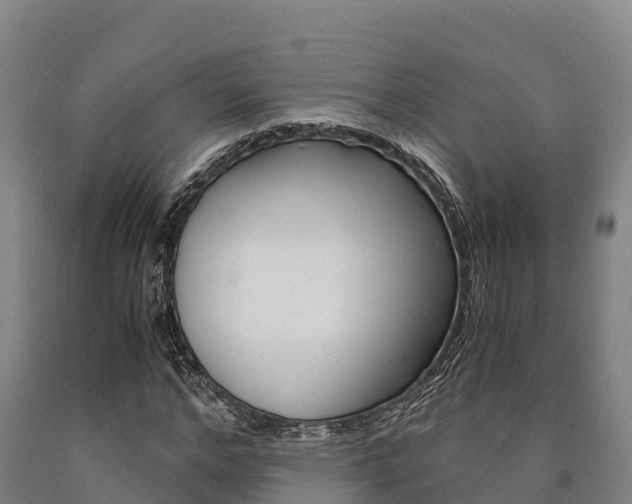 X0000090920968200707301050