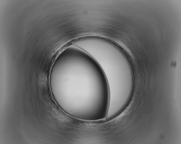 X0000090920969200707301050