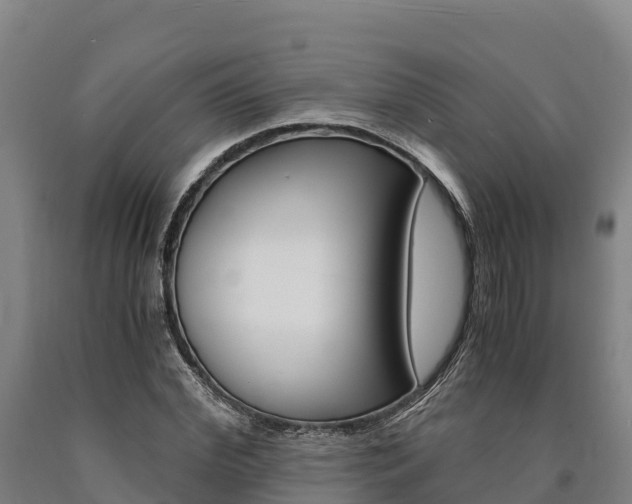 X0000090920972200707301050