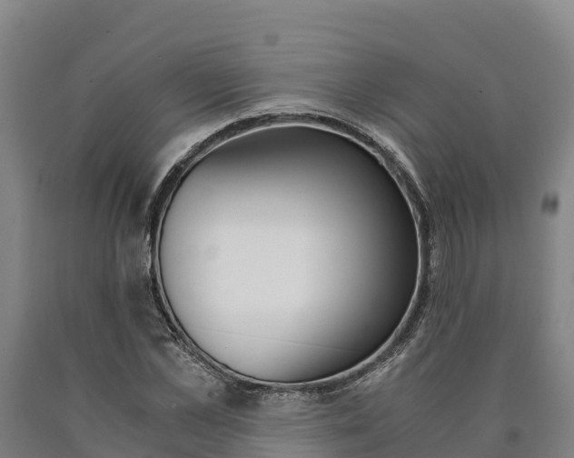 X0000090920973200707301050