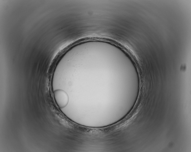 X0000090920974200707301050