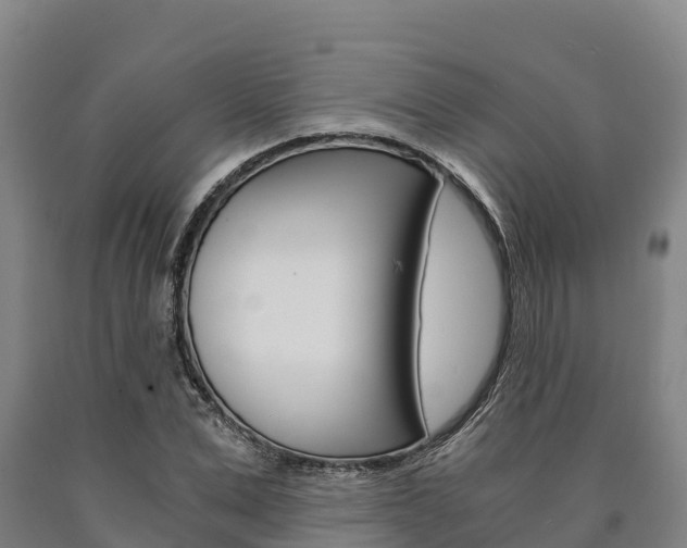 X0000090920975200707301050