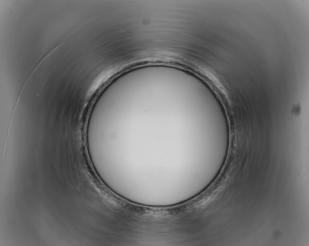 X0000090920978200707301050