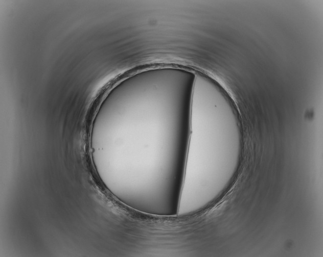X0000090920979200707301050