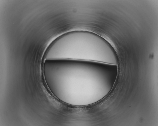 X0000090920980200707301050