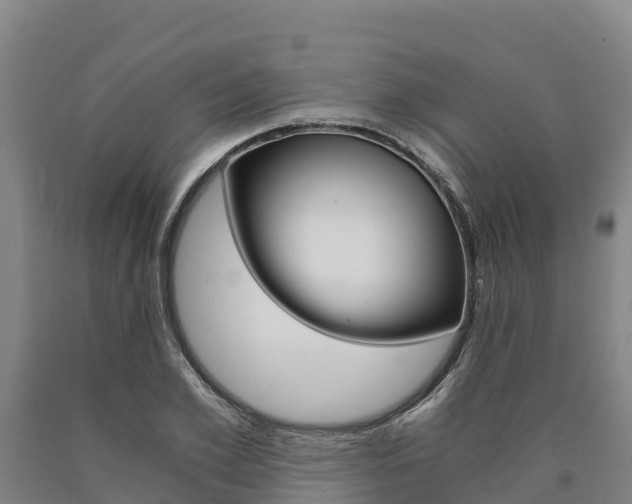 X0000090920981200707301050