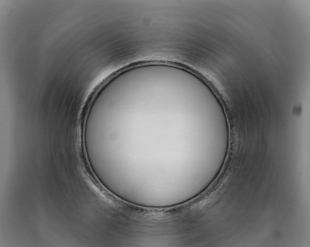 X0000090920982200707301050