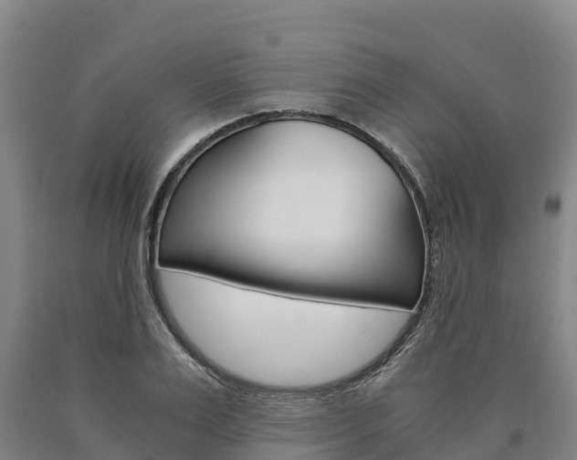 X0000090920983200707301050