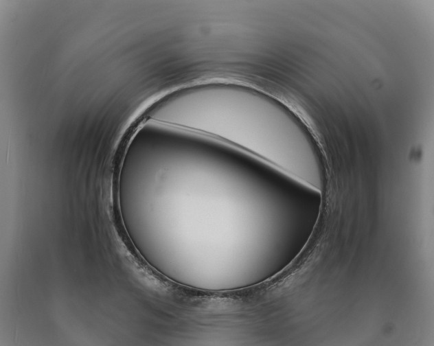 X0000090920984200707301050