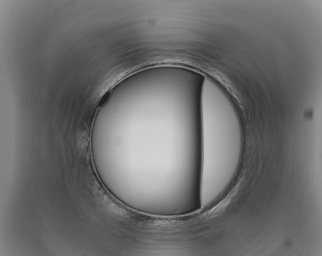 X0000090920985200707301050