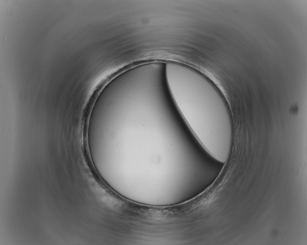 X0000090920987200707301050