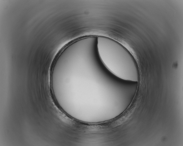 X0000090920988200707301050