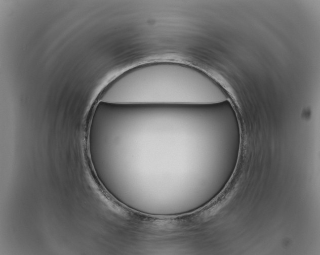 X0000090920989200707301050