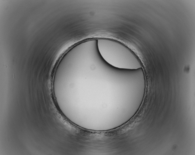X0000090920990200707301050