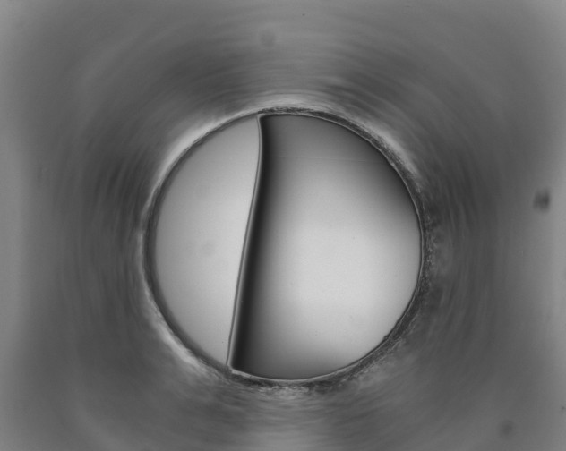 X0000090920991200707301050