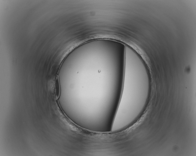 X0000090920993200707301050