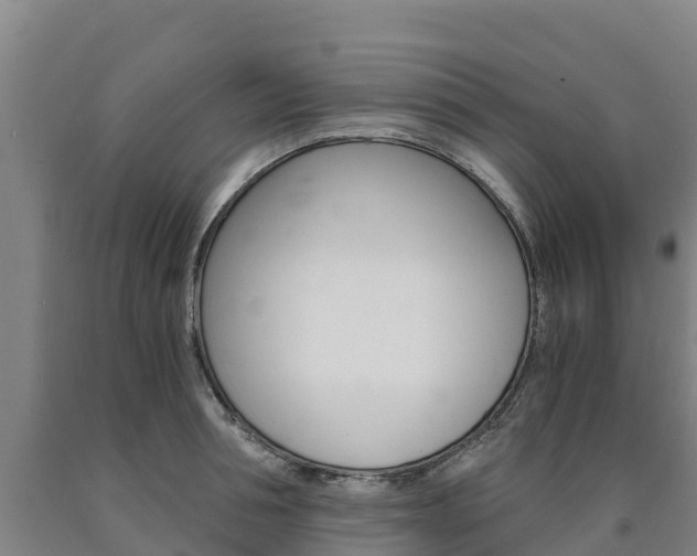 X0000090920994200707301050