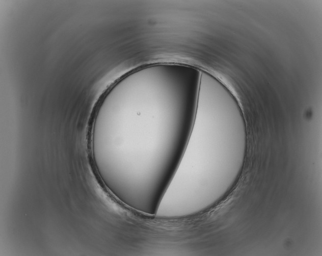X0000090920995200707301050