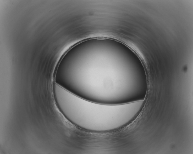 X0000090920996200707301050