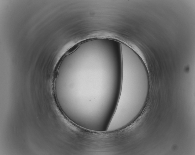 X0000090920997200707301050