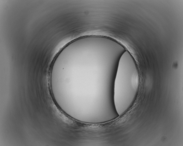 X0000090920998200707301050