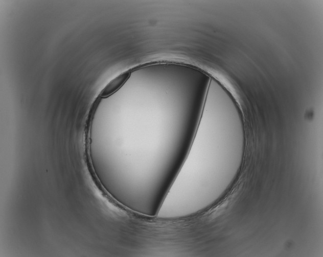 X0000090920999200707301050