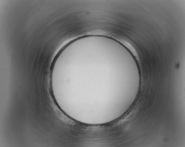 X0000090921000200707301050