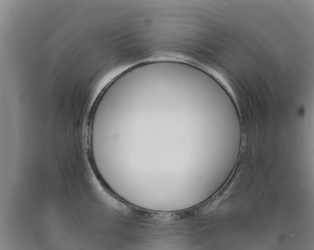 X0000090921003200707301049