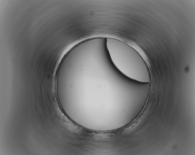X0000090921004200707301049