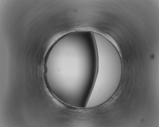 X0000090921005200707301049