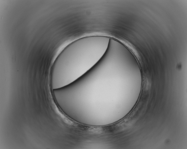 X0000090921006200707301049
