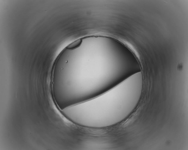 X0000090921007200707301049