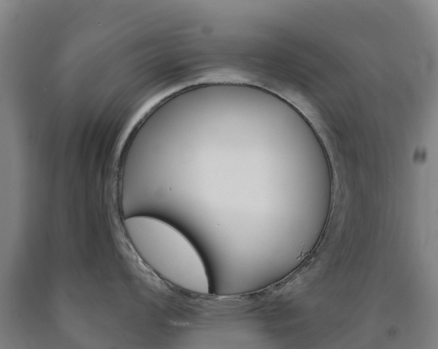 X0000090921008200707301049