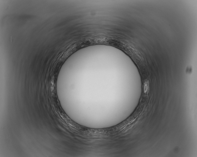 X0000090921011200707301049