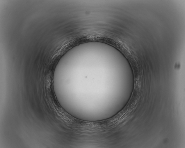 X0000090921012200707301049