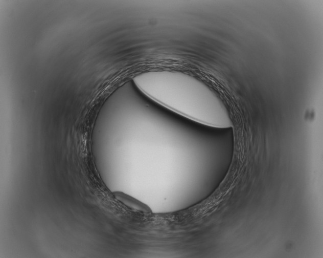 X0000090921013200707301049