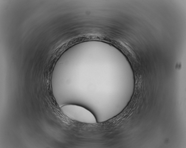 X0000090921015200707301049