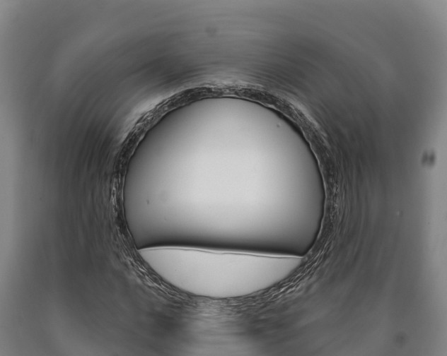 X0000090921016200707301049