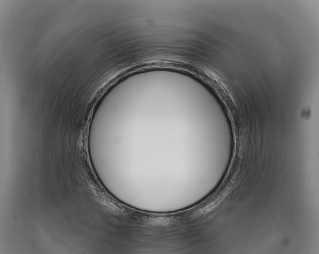 X0000090921017200707301049