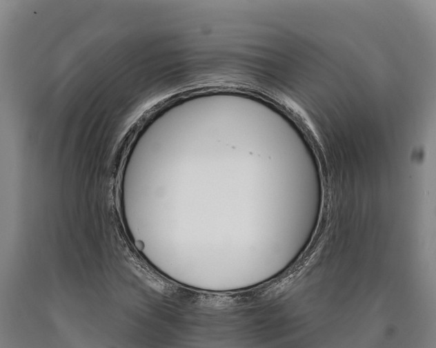 X0000090921019200707301049