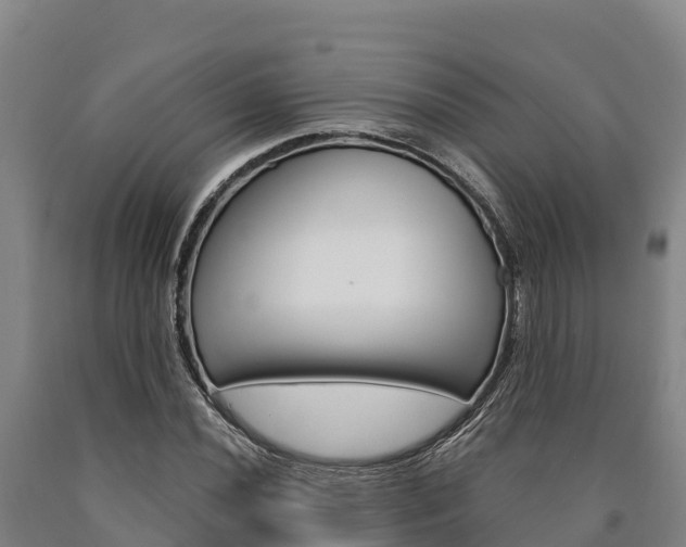X0000090921020200707301049