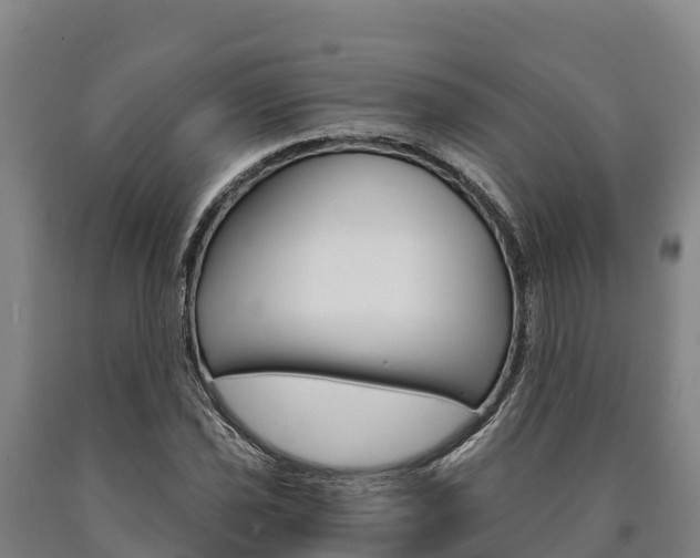 X0000090921021200707301049