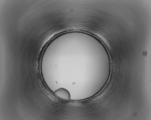 X0000090921023200707301049